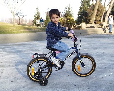 or19.jpg (43284 bytes)